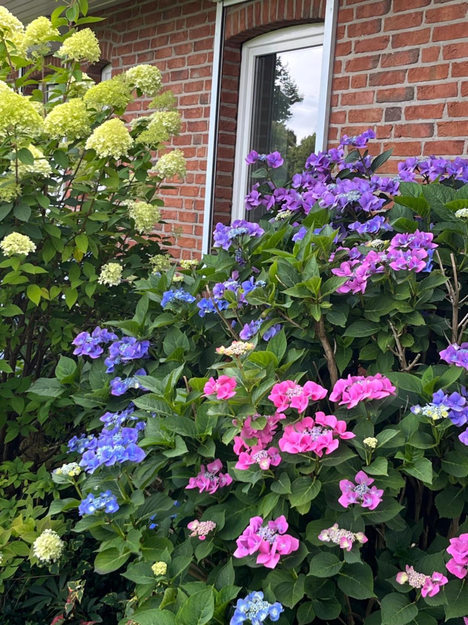 Appartement Gartenzimmer Zwischen Den Meeren à Ladelund Extérieur photo