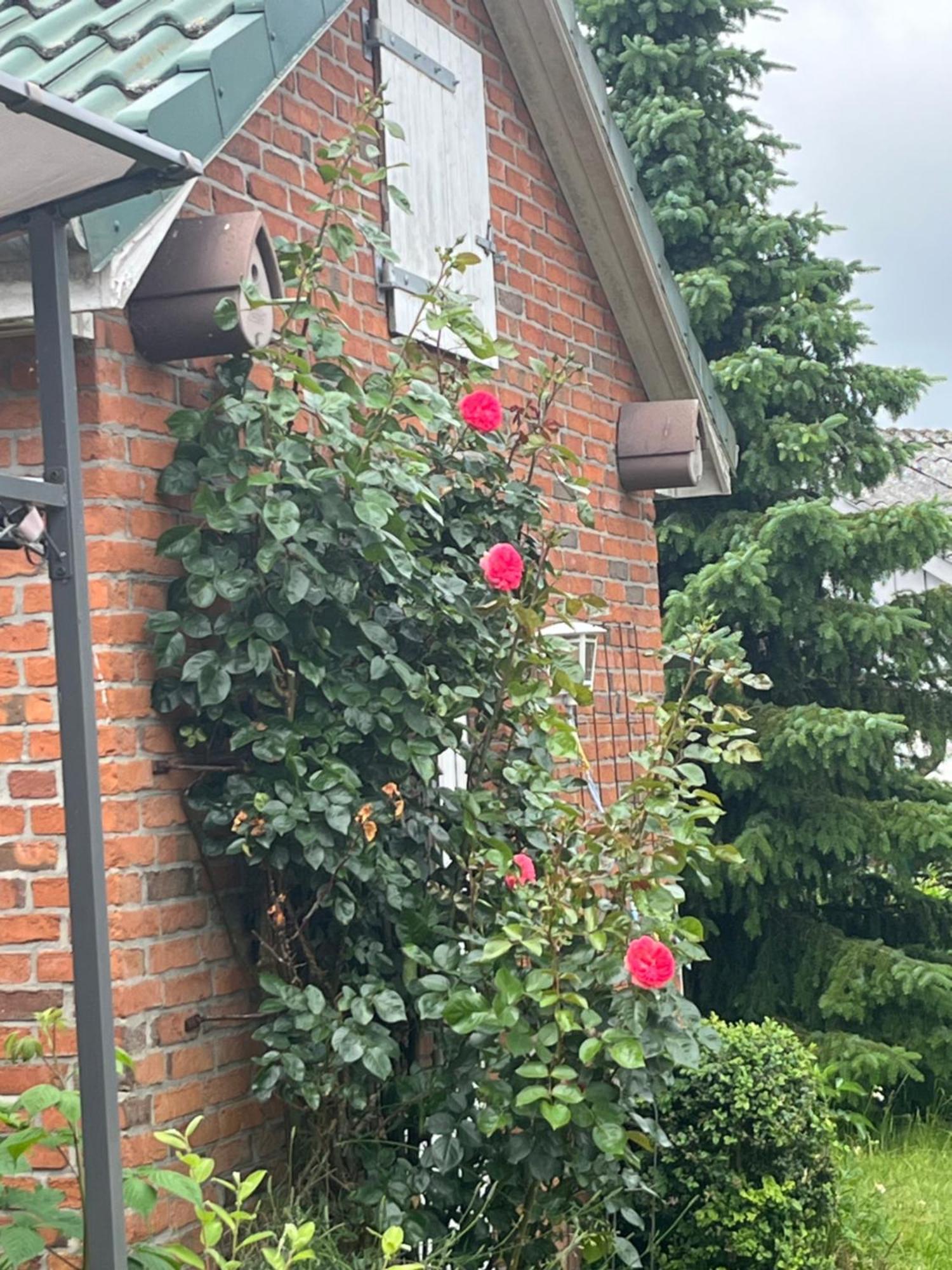 Appartement Gartenzimmer Zwischen Den Meeren à Ladelund Extérieur photo